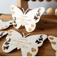 Faire-part papillon original