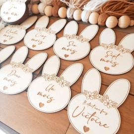Cartes étapes bébé lapin lot
