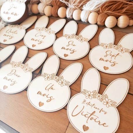 Cartes étapes bébé lapin lot