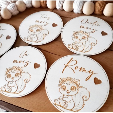Cartes étapes bébé écureuil bois