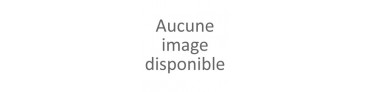 Dragées animaux de la mer